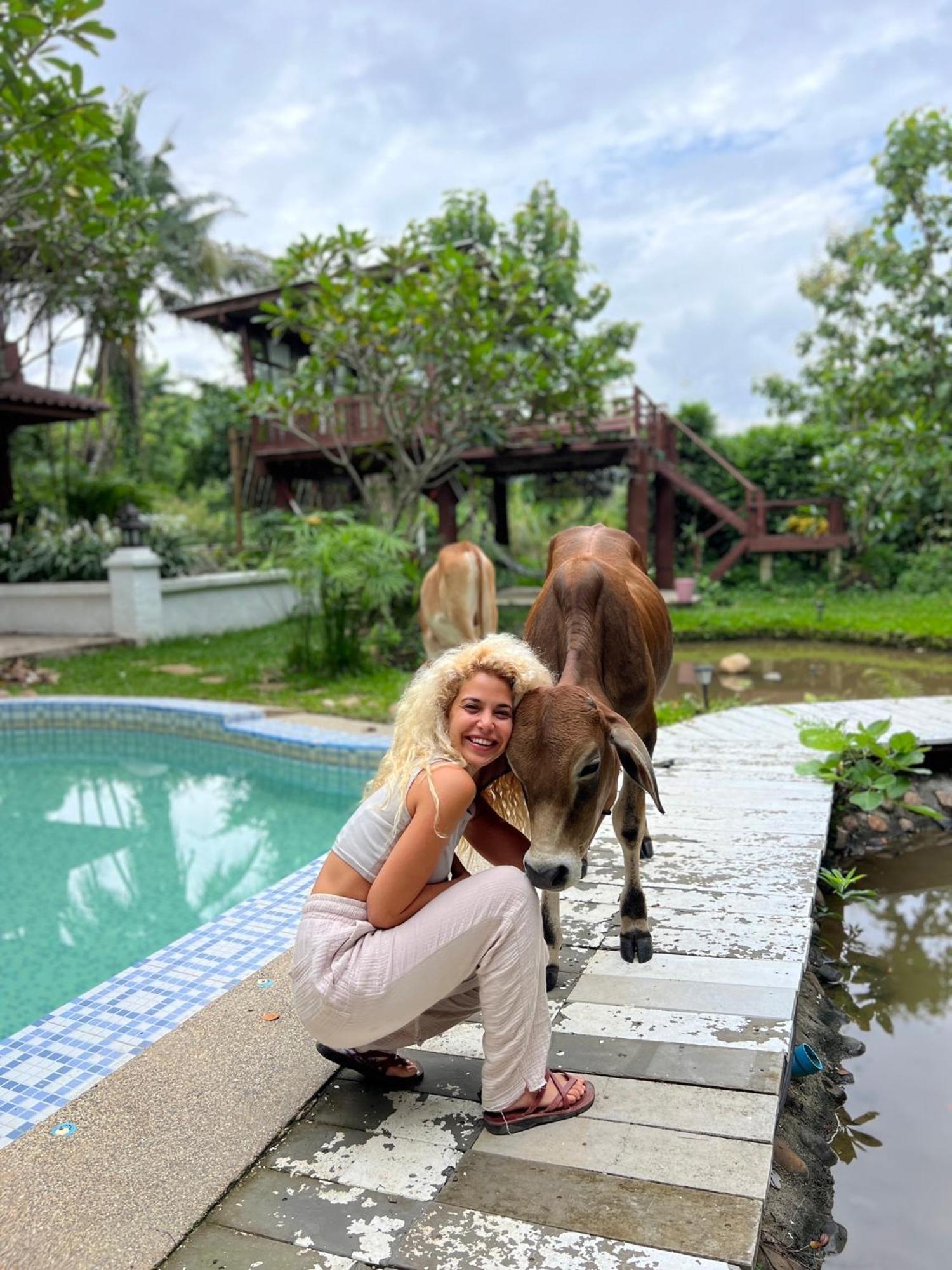 Shaya Resort Pai Exteriér fotografie